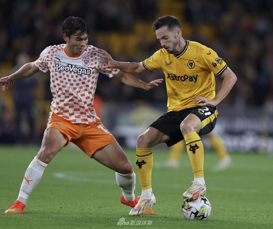 不仅吸引了 不仅吸引了