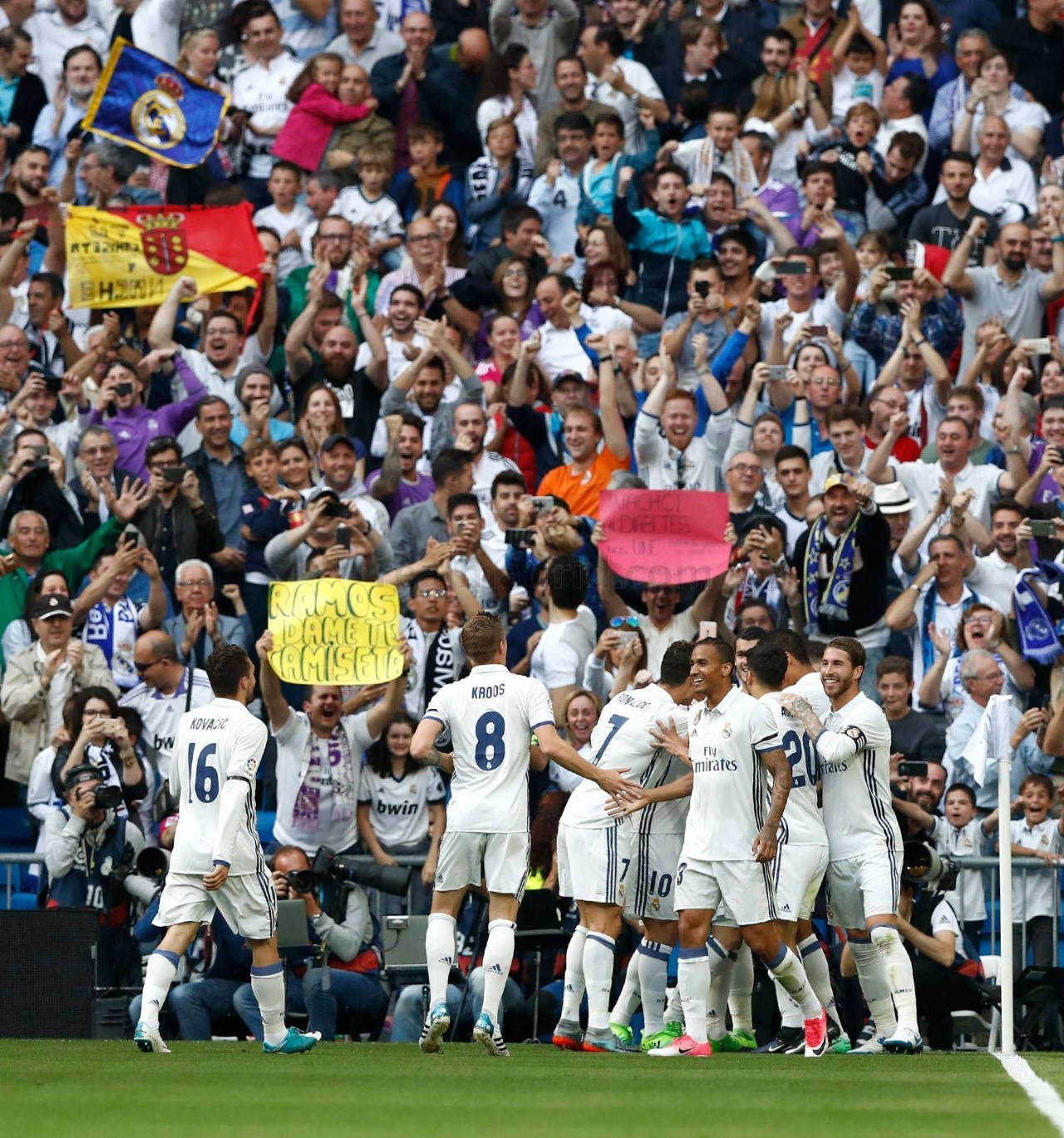 它看见一个 它看见一个